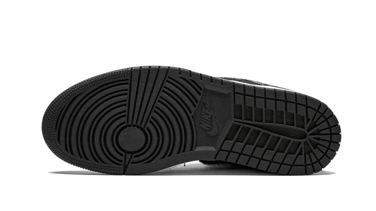 Air Jordan 1 Retro High OG WMNS "Twist"
