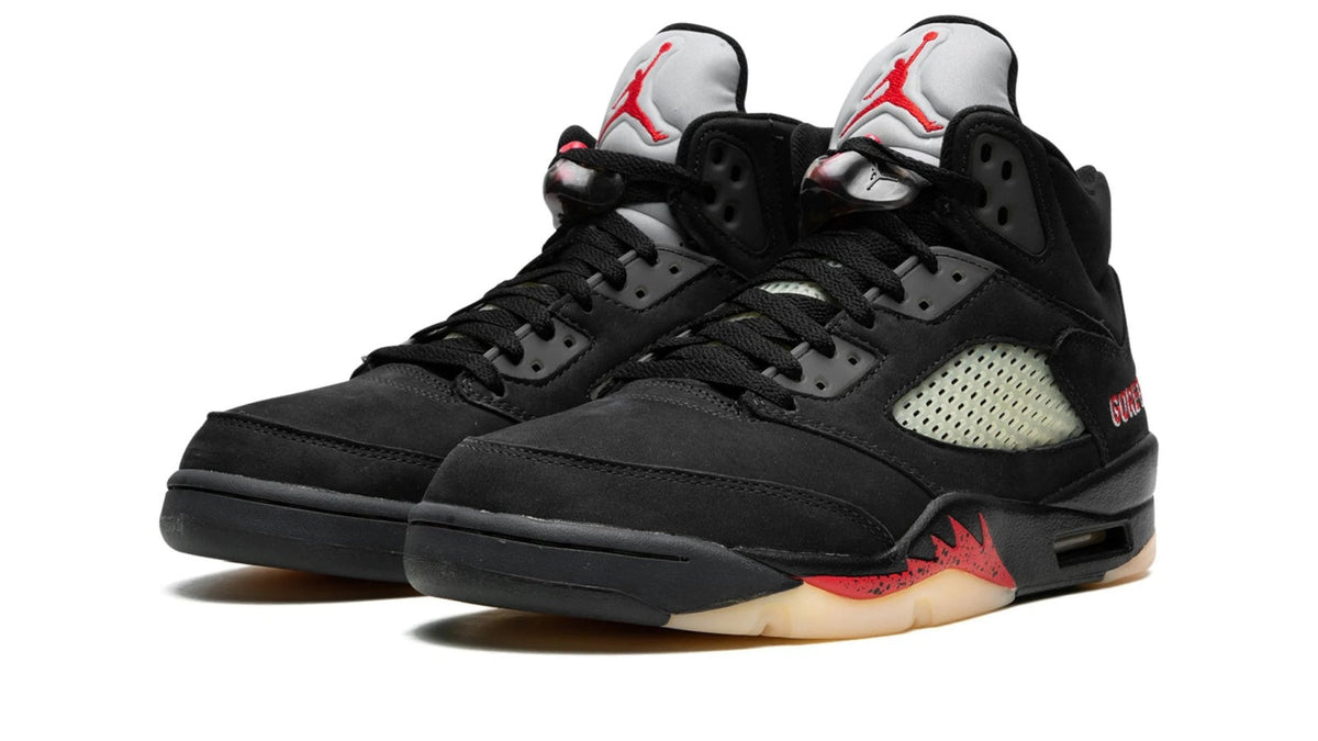 Air Jordan 5 WMNS "Gore-Tex"