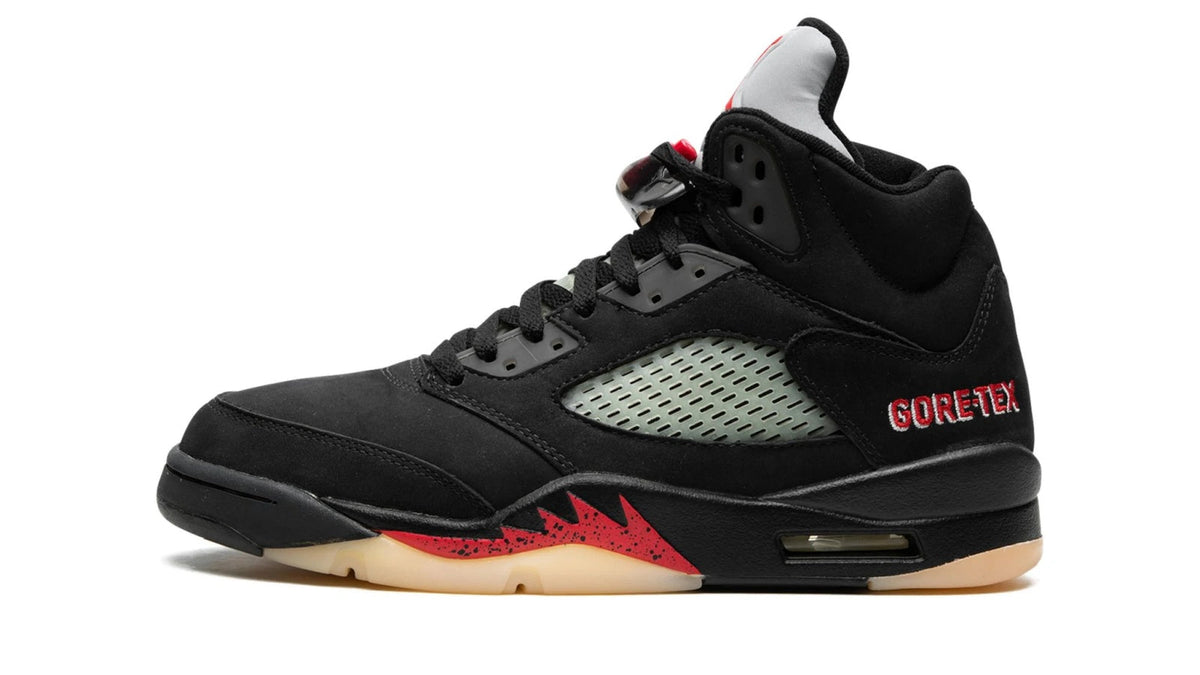 Air Jordan 5 WMNS "Gore-Tex"