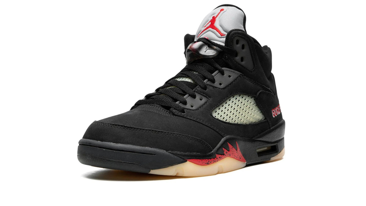 Air Jordan 5 WMNS "Gore-Tex"